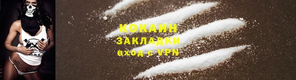 индика Новокубанск