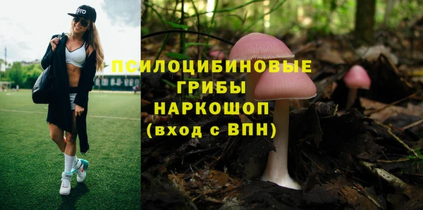 индика Новокубанск