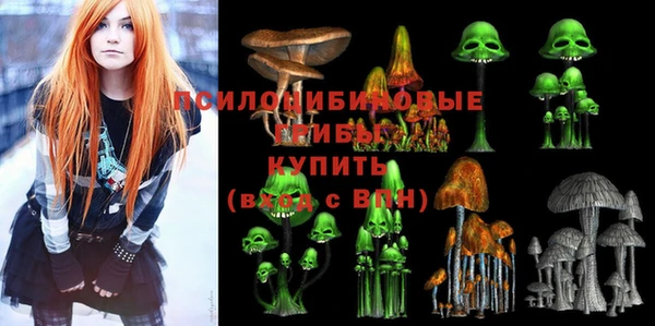 альфа пвп Новозыбков