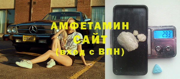 индика Новокубанск