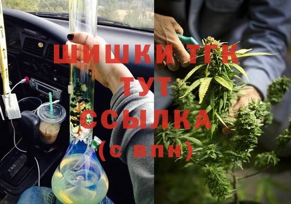 индика Новокубанск