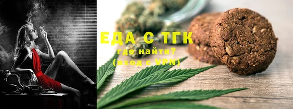 индика Новокубанск