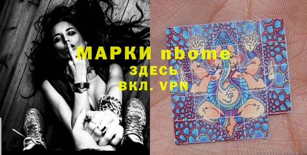 индика Новокубанск