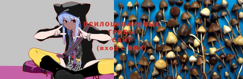 Галлюциногенные грибы Magic Shrooms Крымск