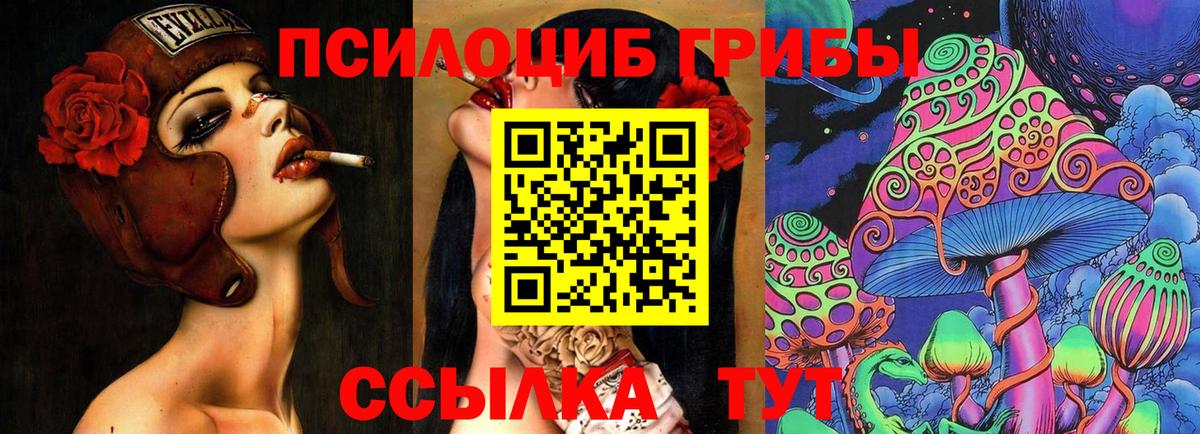 Галлюциногенные грибы мицелий  где продают   Крымск  Вход с VPN  Псилоцибиновые грибы Magic Shrooms 